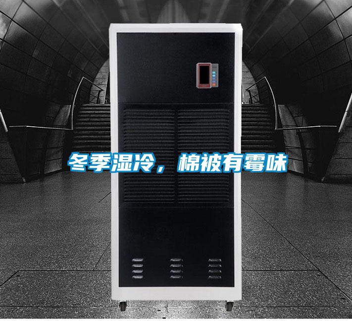 冬季濕冷，棉被有霉味