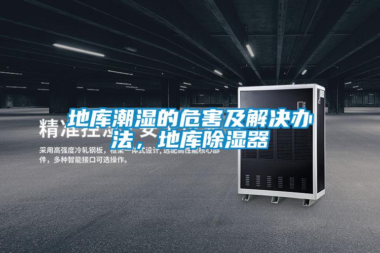 地庫潮濕的危害及解決辦法，地庫除濕器