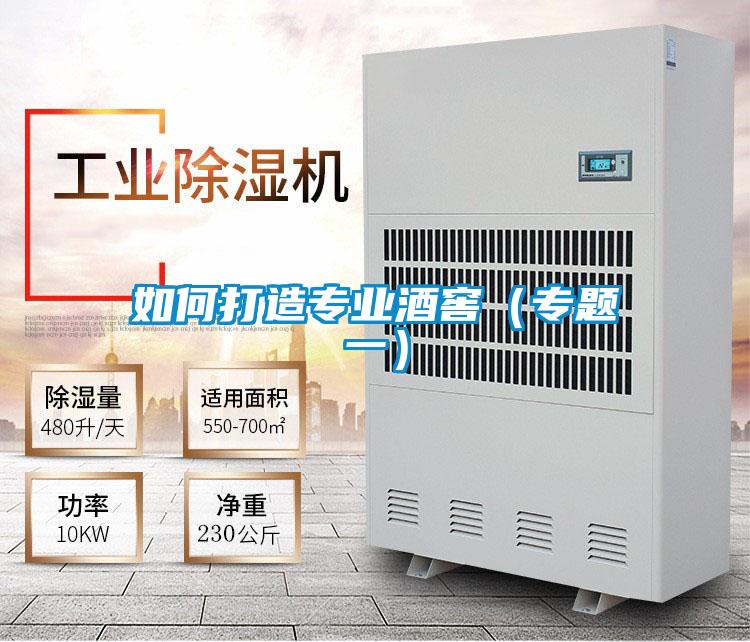 如何打造專業(yè)酒窖（專題一）