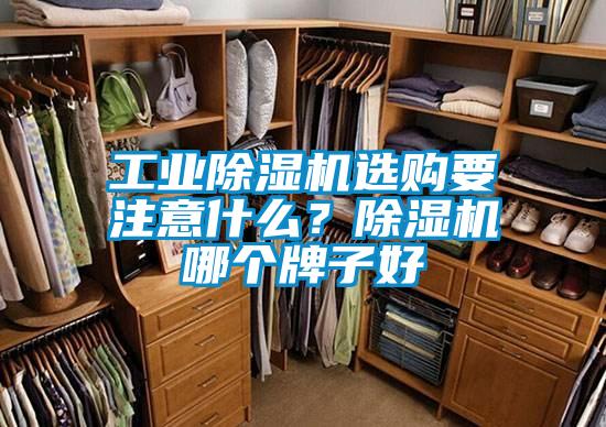 工業除濕機選購要注意什么？除濕機哪個牌子好
