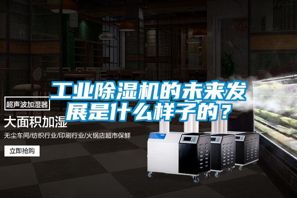工業除濕機的未來發展是什么樣子的？