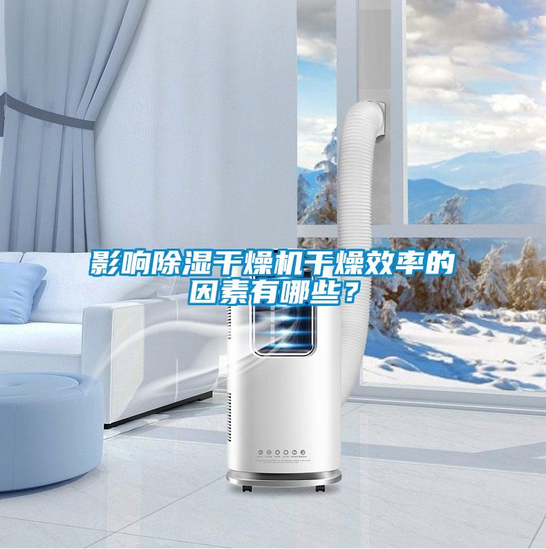 影響除濕干燥機干燥效率的因素有哪些？