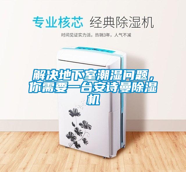 解決地下室潮濕問題，你需要一臺安詩曼除濕機