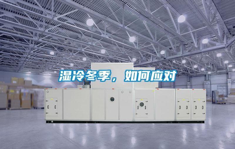 濕冷冬季，如何應對