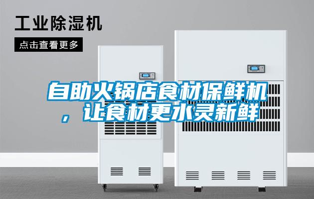 自助火鍋店食材保鮮機，讓食材更水靈新鮮