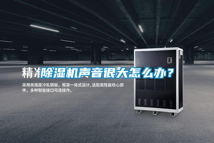 除濕機聲音很大怎么辦？