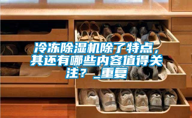 冷凍除濕機除了特點，其還有哪些內容值得關注？_重復