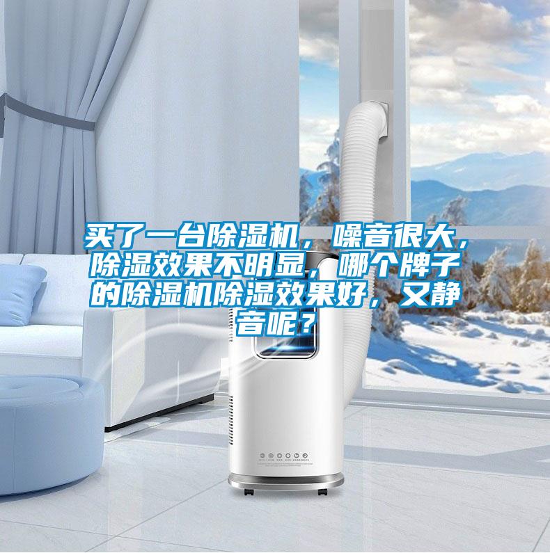 買了一臺(tái)除濕機(jī)，噪音很大，除濕效果不明顯，哪個(gè)牌子的除濕機(jī)除濕效果好，又靜音呢？
