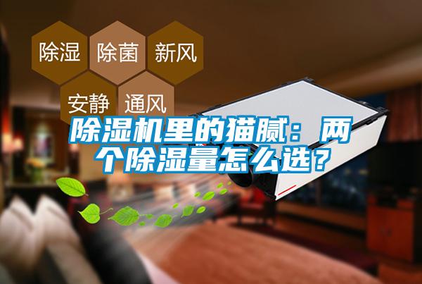 除濕機里的貓膩：兩個除濕量怎么選？