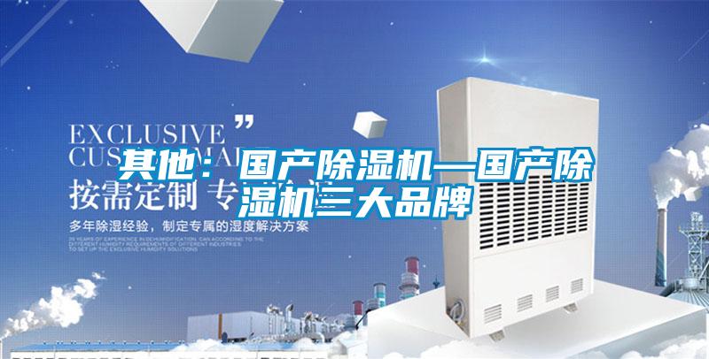 其他:國(guó)產(chǎn)除濕機(jī)—國(guó)產(chǎn)除濕機(jī)三大品牌