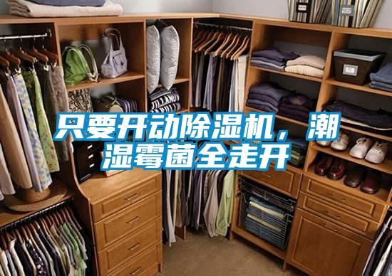 只要開動除濕機(jī)，潮濕霉菌全走開